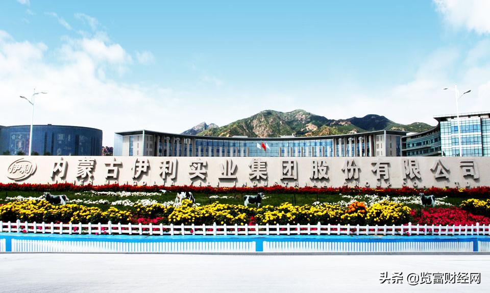 乳制品龙头伊利股份,伊利乳业2024一季度