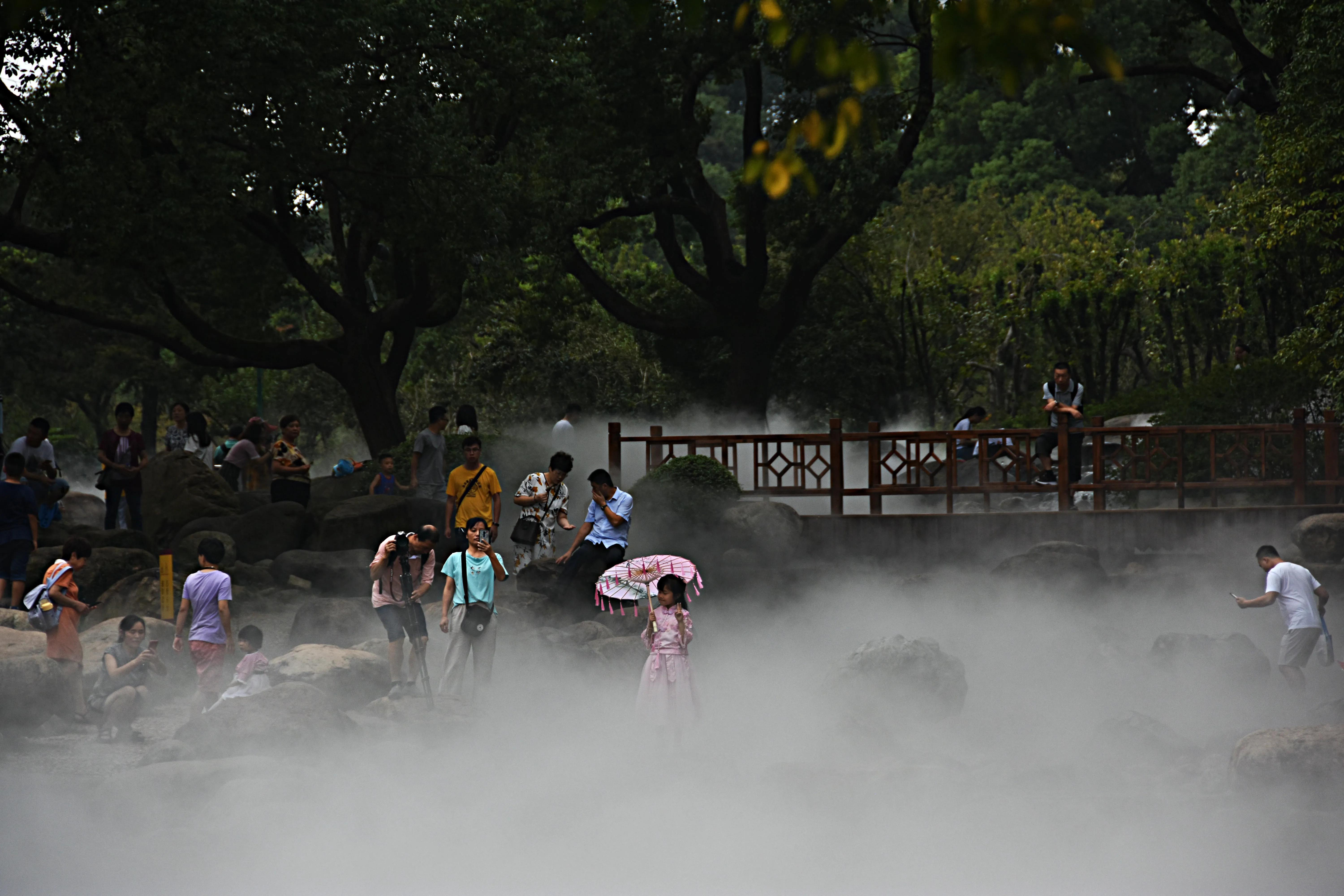 无锡梅园百合花节,无锡梅园的百合花开了