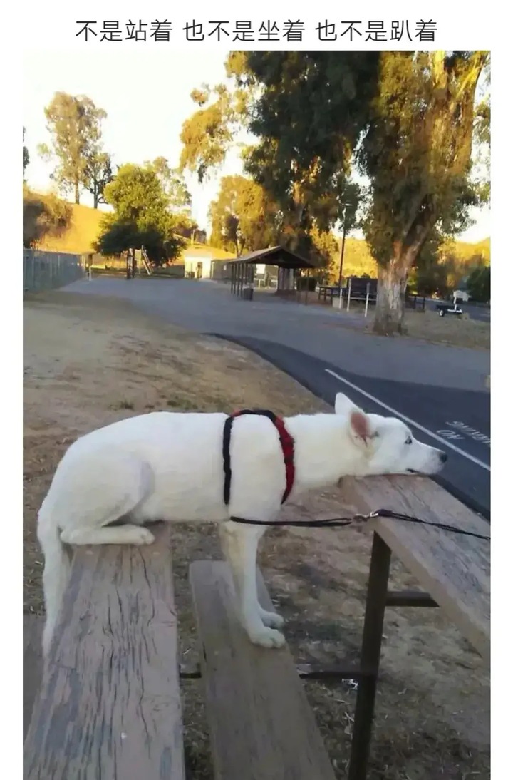 嫂子打羽毛球的视频,嫂子打羽毛球完整视频