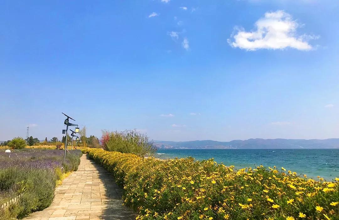 昆明出发抚仙湖一日游攻略,昆明去玉溪抚仙湖游玩攻略