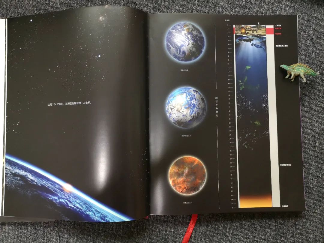 适合孩子看的恐龙科普书,适合5岁孩子看的恐龙科普书