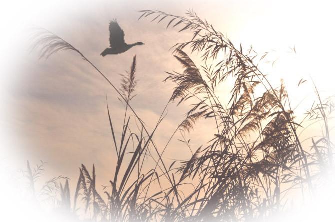 晏殊最经典十首诗解析,晏殊最经典十首诗及赏析