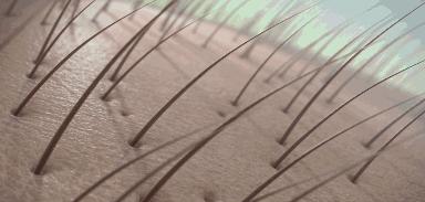 能让头发乌黑靓丽的洗发用品,用什么洗发水能让头发浓密乌黑