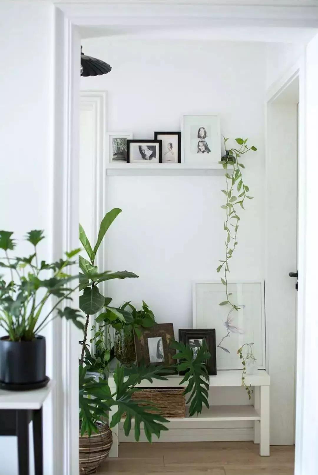 小夫妻98㎡家意外走红!登北京地铁广告,这个家才是都市里的奢侈