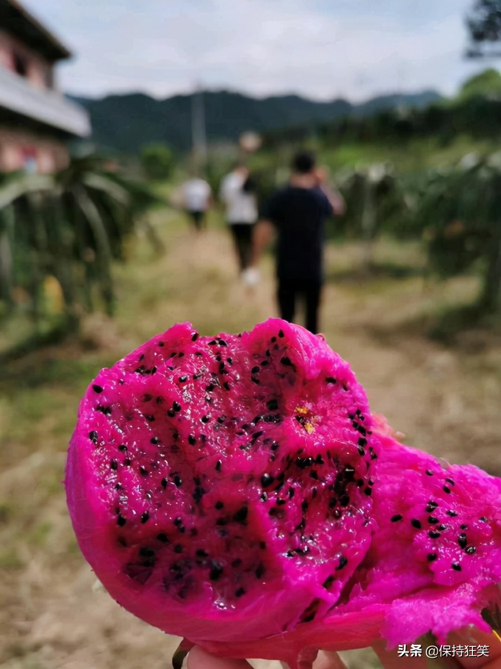 贵州比较出名的特产有哪些,贵州有哪些特产贵州最有名的特产