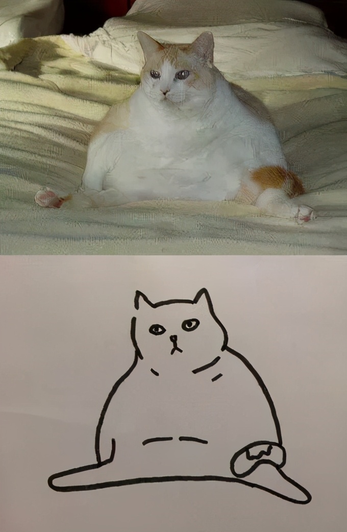 猫是固体还是液体有科学依据吗,科学家证实猫是液体