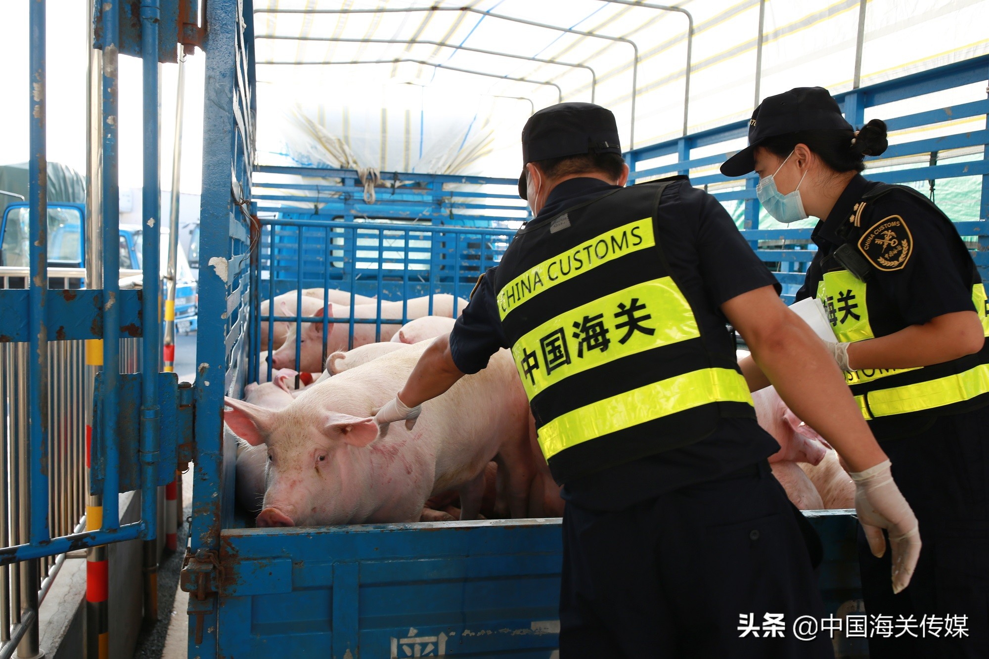 澳门回归后经济增长了多少,澳门出口总值