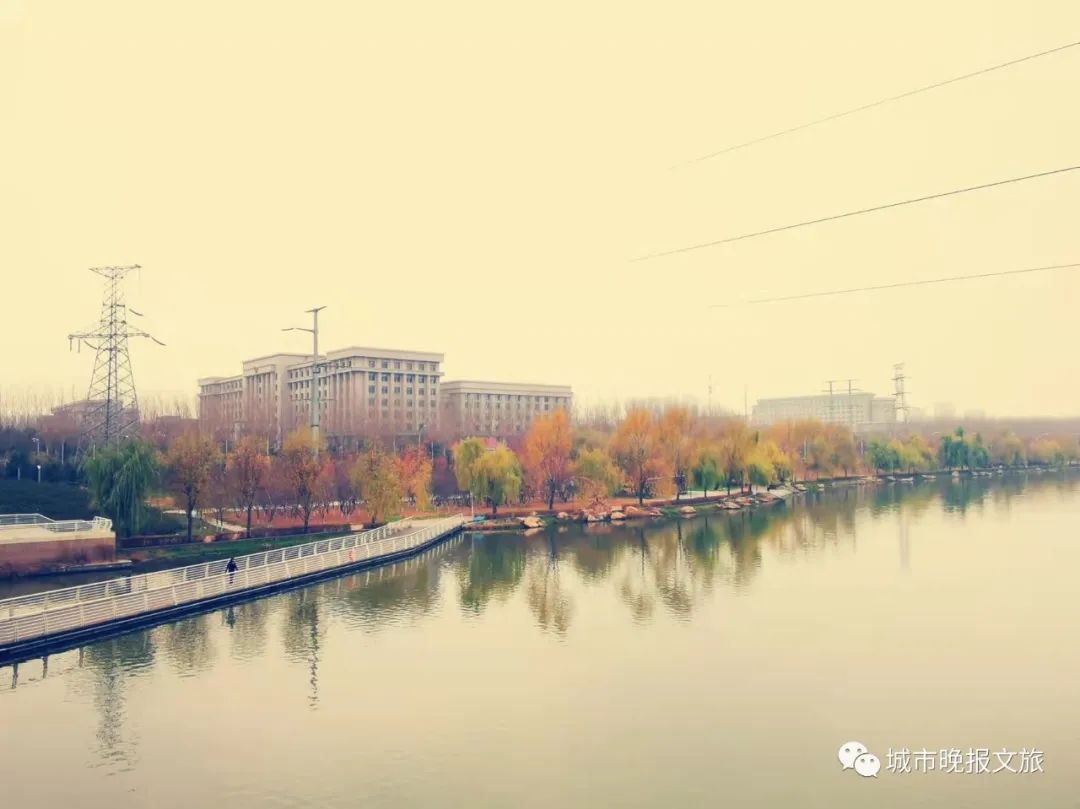 城晚拍拍丨秋色如画