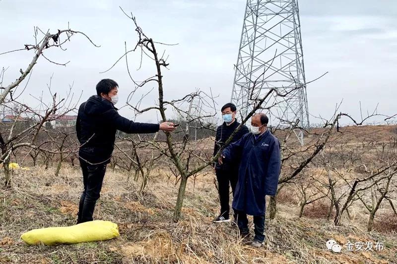 防疫春耕两不误，金安处处有期寄！