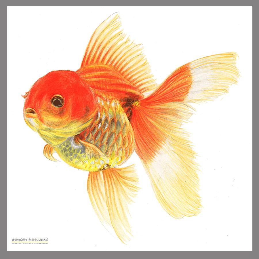 彩铅花卉作品临摹素材,动漫人物彩铅素材图片