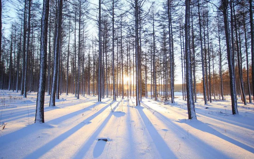 坝上屋一组坝上屋,坝上坝下什么意思