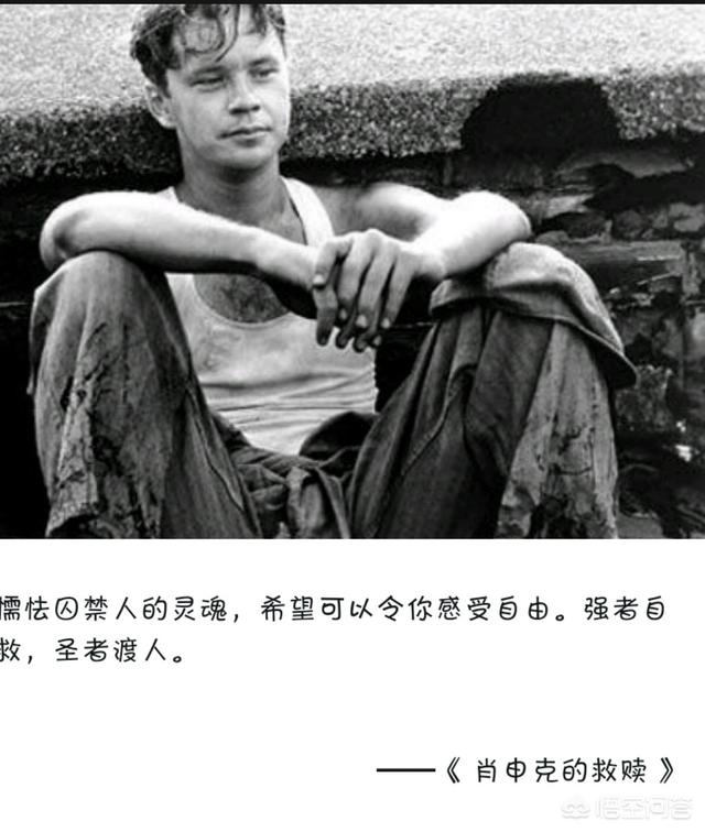 生活这么难到底为什么,生活这么难为啥要坚持