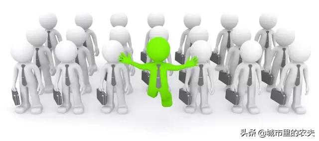 干货看完别再说不懂茉莉花茶了,干货看完不踩坑