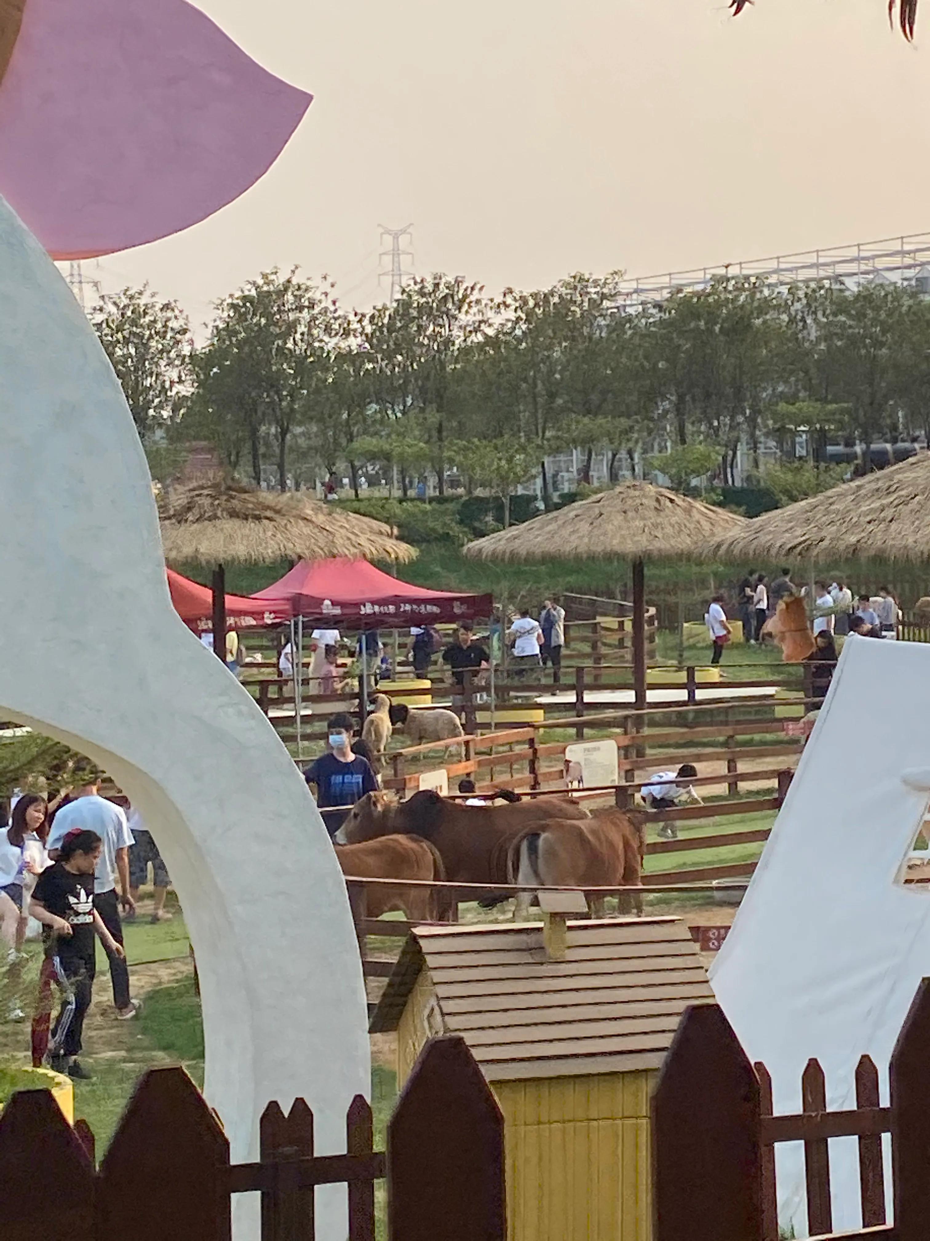 佛山盈香生态园一天玩得完吗,佛山盈香生态园值得去吗