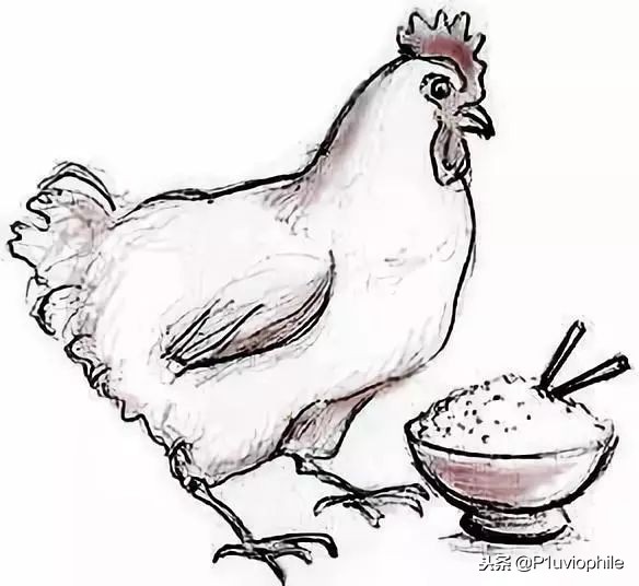 日本脚气病历史,为什么日本大多数死于脚气