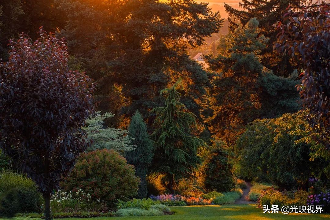 国际花园摄影大赛图片,那些美丽的花园