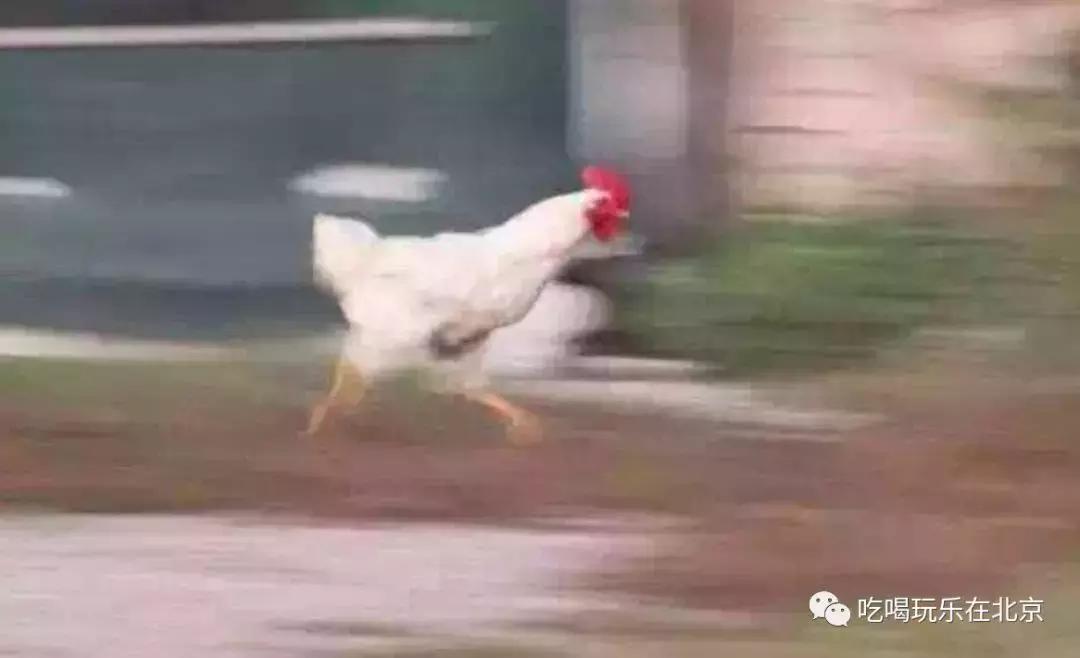 为了吃这个包包，排了80米长队！