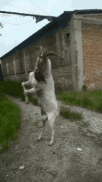 高铁上一位阿姨,高铁40岁老阿姨踢我怎么办