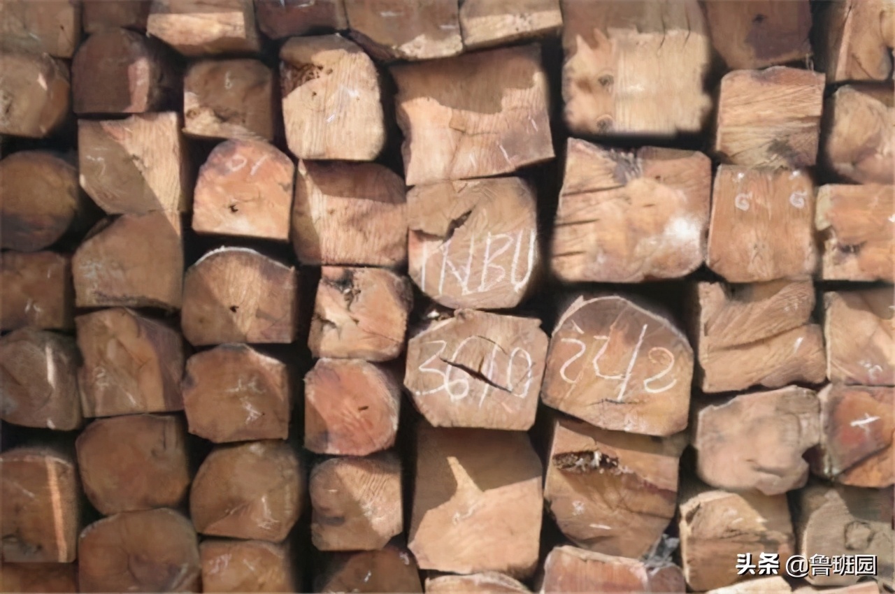 用溴甲烷熏蒸地多长时间效果最佳,溴甲烷熏蒸什么时候取消