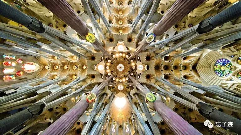 坎普应该怎么玩,坎普各个系列介绍