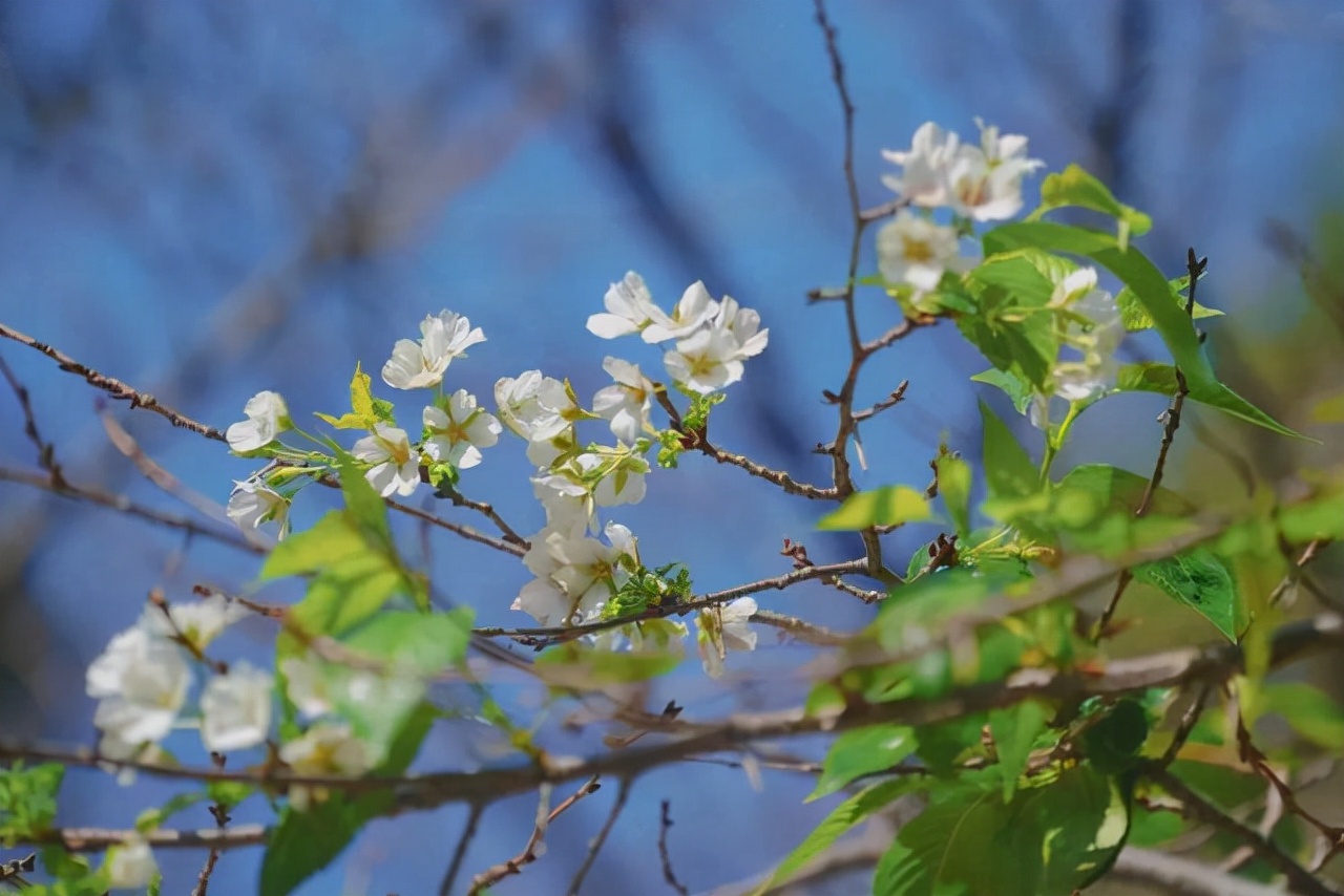 今年气候最新消息,今年气温为什么到35度了