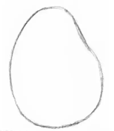 鐜懓绱犳弿鏁欑▼,绱犳弿鐜懓鐢绘硶鏁欑▼