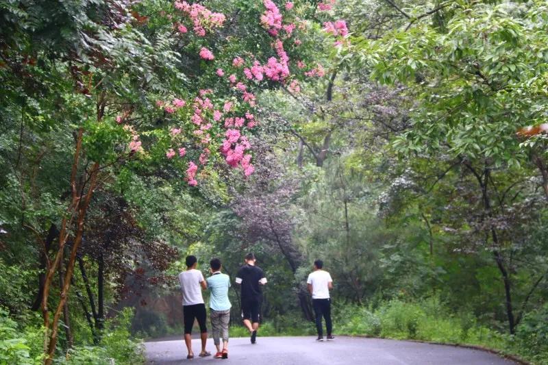抱犊崮门票半价政策,中考生福利重庆