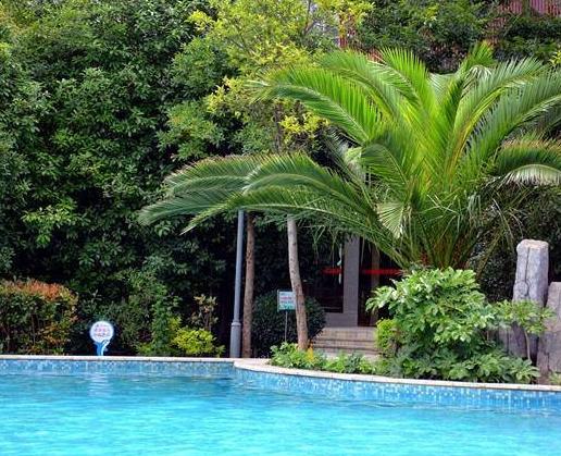 曲靖金麟湾温泉多少钱一个人,曲靖温泉价格最低的温泉村