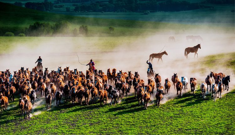 国际旅游摄影作品欣赏,国际旅游摄影官网