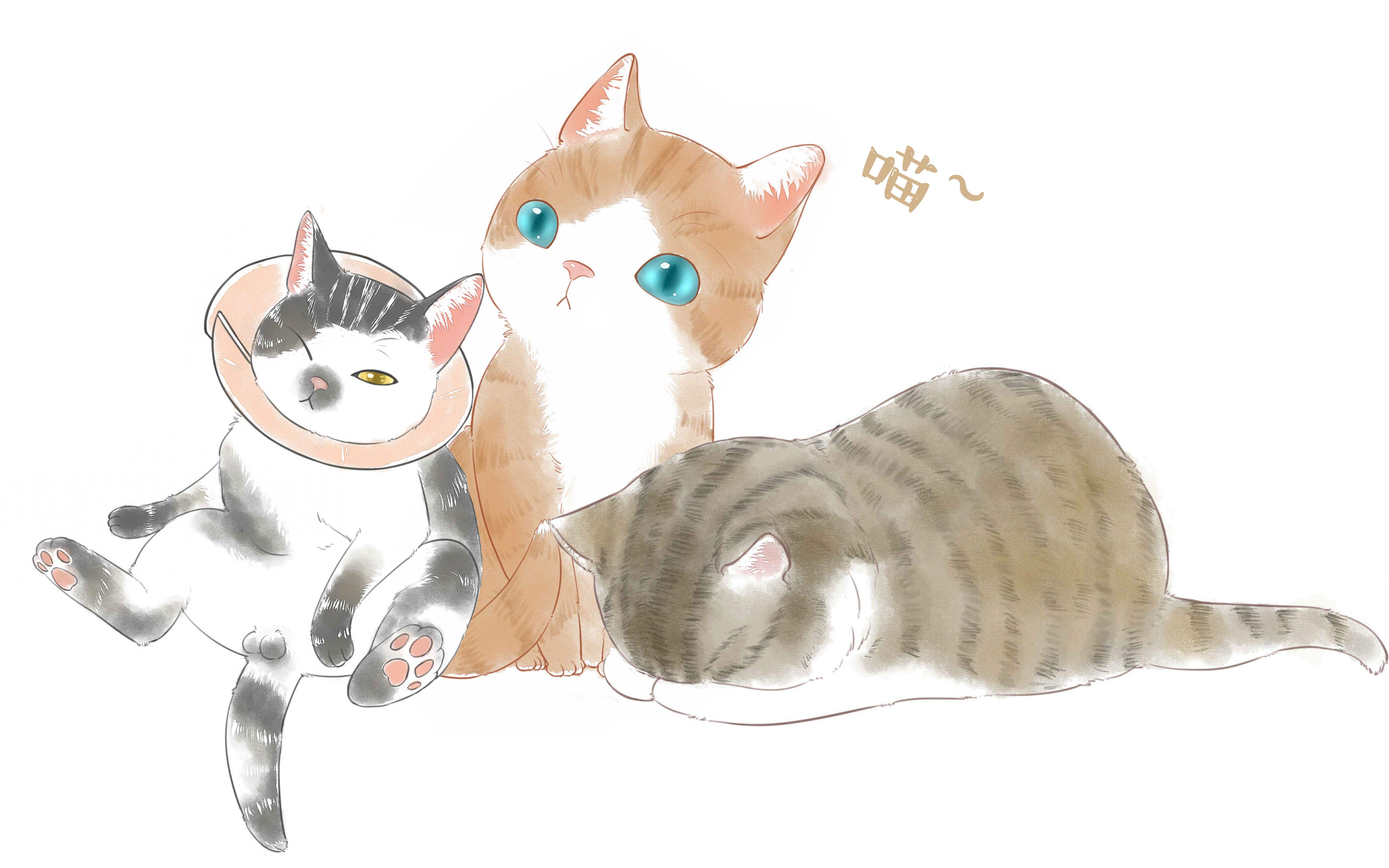 猫咪洗澡去油产品推荐,猫咪洗澡用品好物推荐