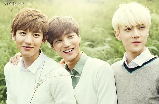 exo与sm合约到期会解散么,exo成员合约到期