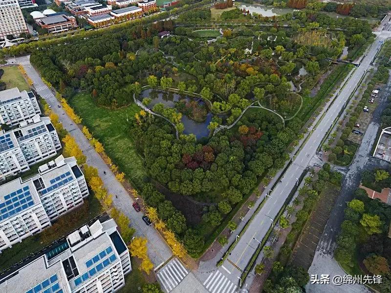 上海交大内部消息,回顾上海交大