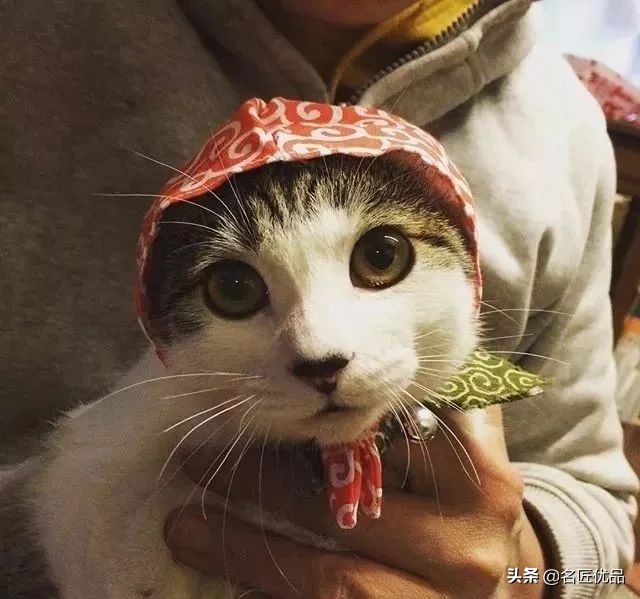 想不想开？这个贴着小胡子的女生，做出全世界最可爱的汽车