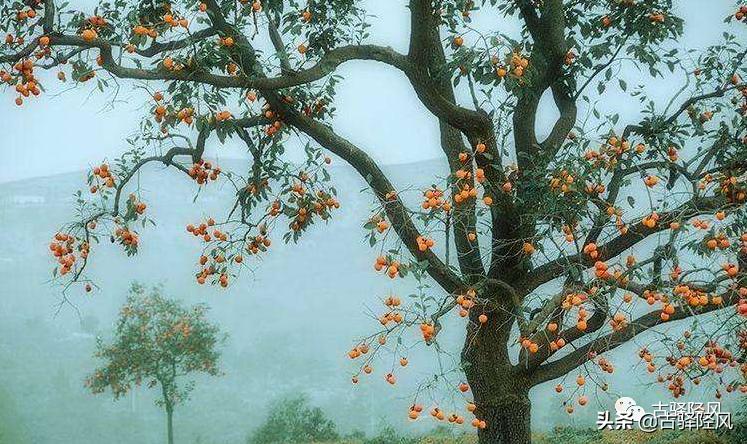 芳华岁月,井陉北张村的第一台缝纫机