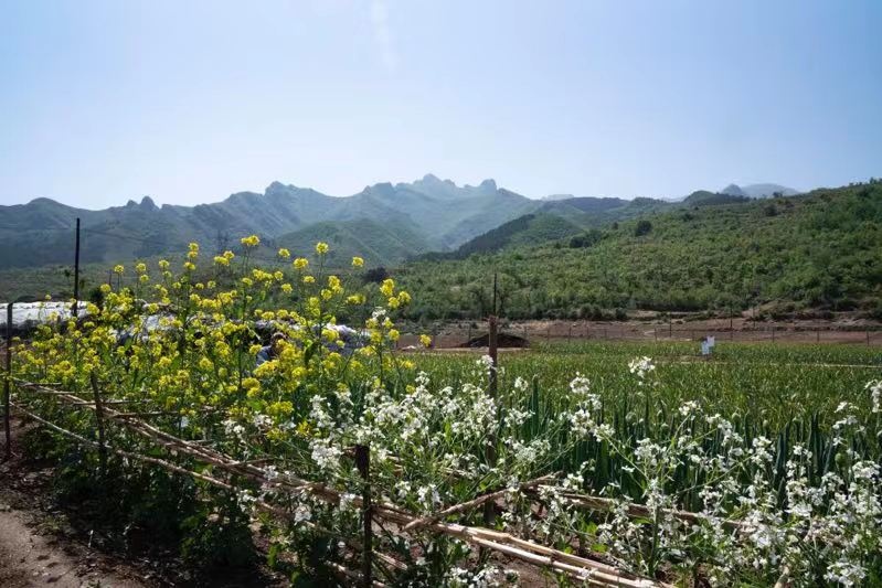 娃友们的福音：泡泡玛特入驻哈噜玛特啦