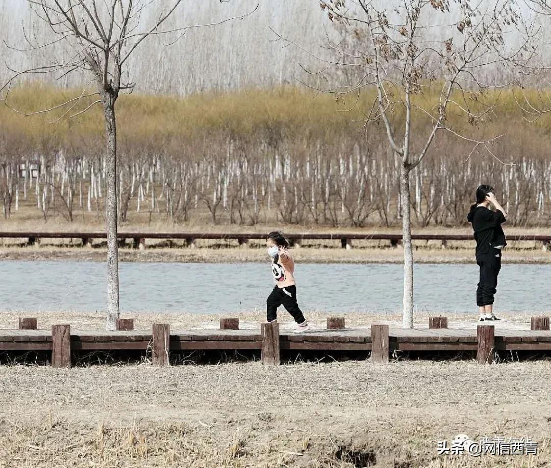 天津2022哪些公园恢复开放,天津临港亲海公园什么时候开放