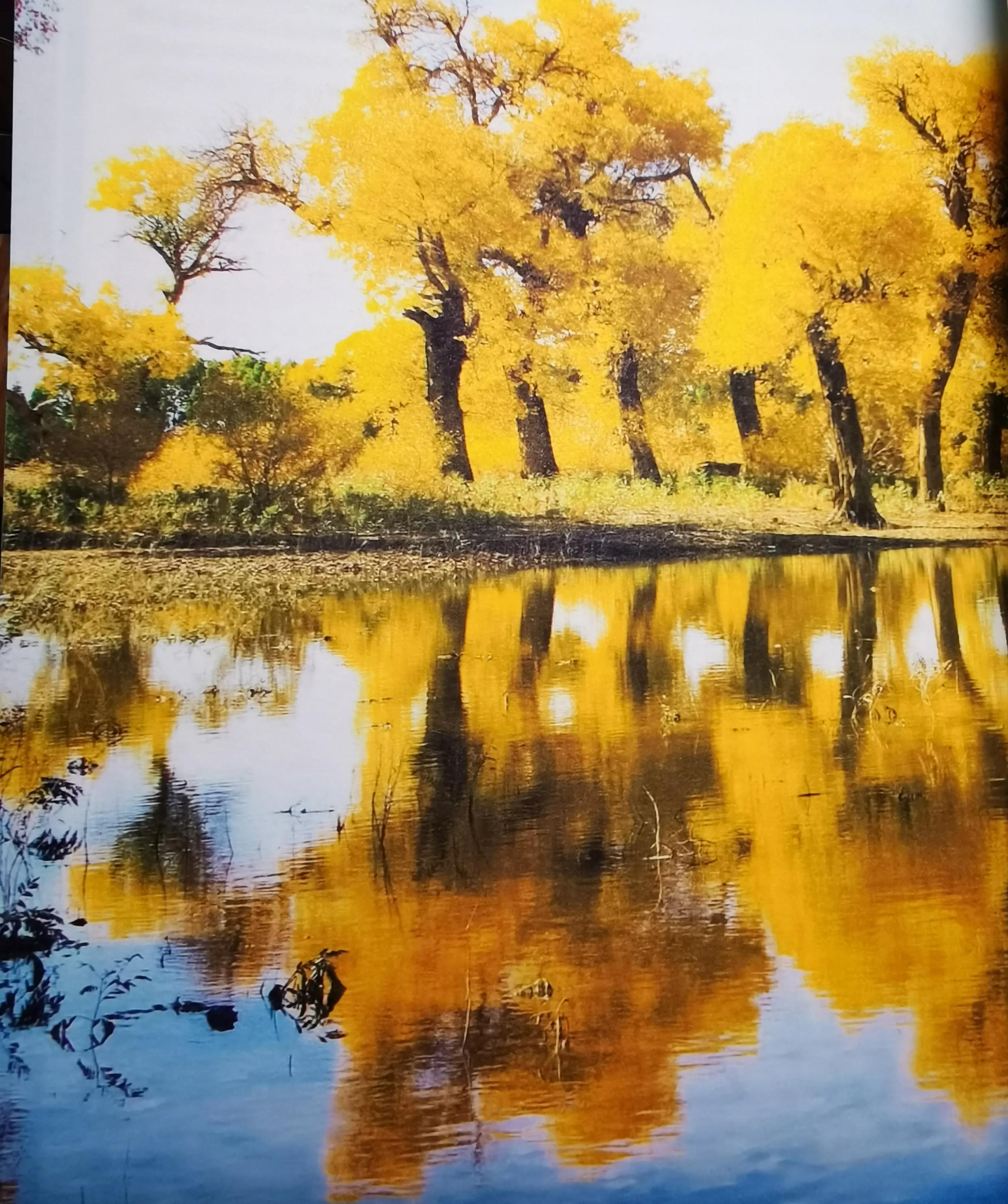 金秋再出发内蒙古,今秋再出发的内蒙古