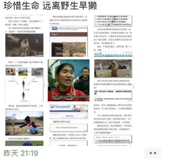 我不是大眼萌我是鼠疫最大移动储存库