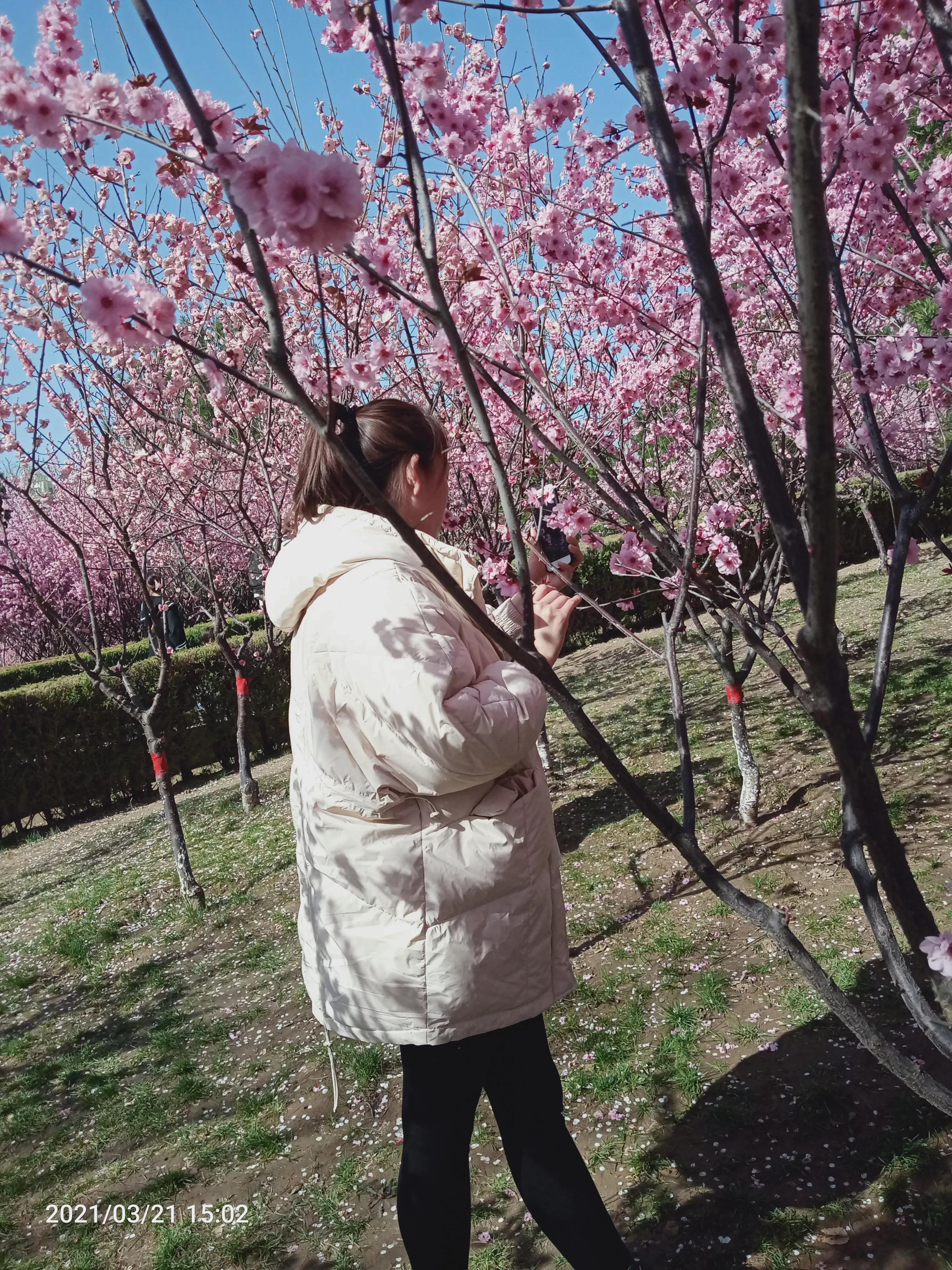 沙河美丽,沙河的天气
