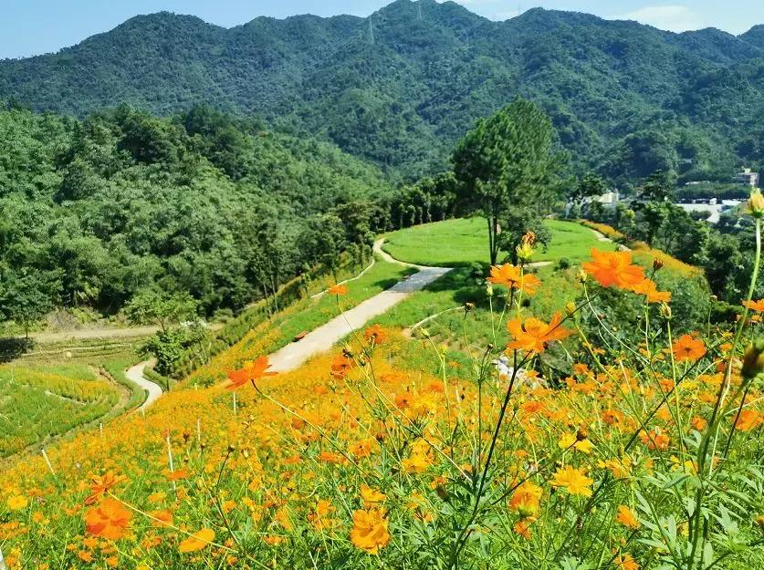 清远七天玩乐,清远一日游最佳景点一览表最新