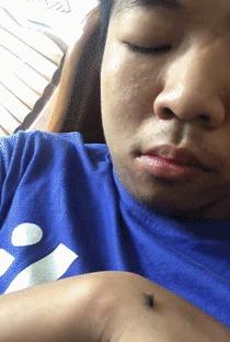 搞笑动图gif图片,搞笑动图gif图片微信