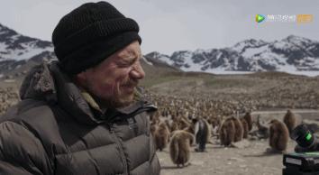 炸裂9.9,BBC再出神片,美得让人脸红