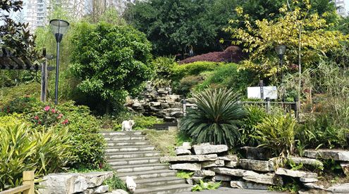 铁路高中选择学生标准,选铁路要选对学校