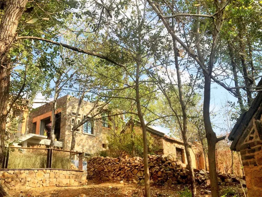 凤凰措古村落,凤凰措古村落设计