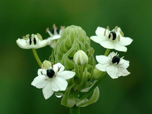 比情商高更重要的是靠谱,比情商更重要的是逆商还是顺商
