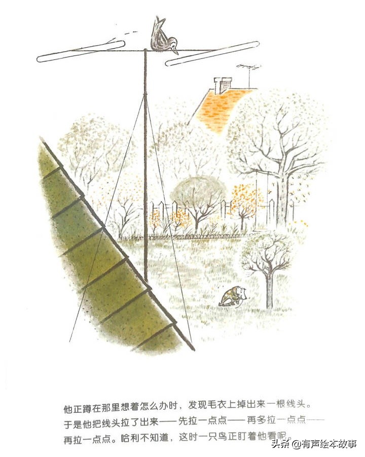 儿童故事哈利的花毛衣,哈利不可以有声绘本故事