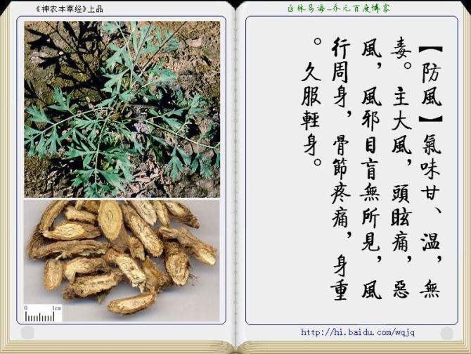 本草纲目中药讲解视频,本草纲目中药图谱及药理讲解