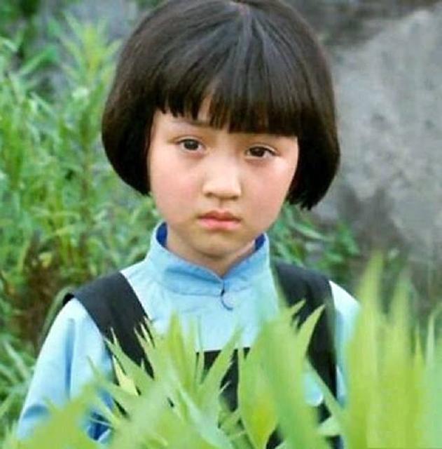 蹇冪伒涔嬬獥璞嗙摚,蹇冪伒涔嬬獥璞嗙摚鐢靛奖