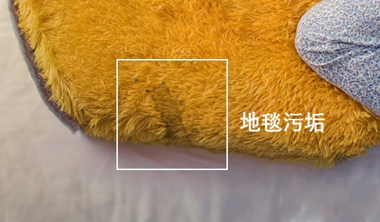 地毯清洁小技巧,地毯清洁四种方法