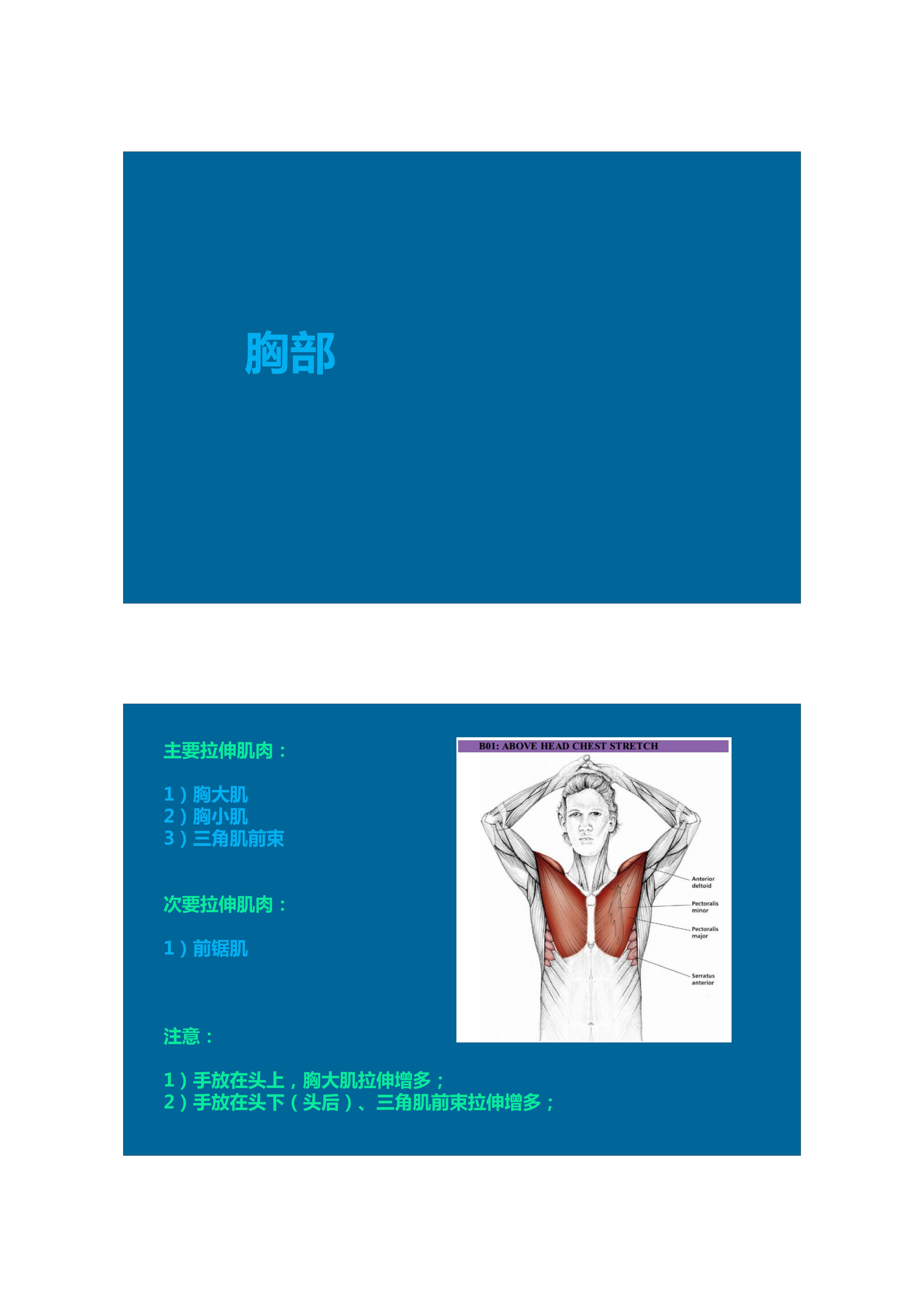 1分钟拉伸动作视频,拉伸腿部技巧